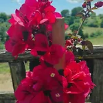 Κατάλυμα σε φάρμα Campo Ruffaldo *